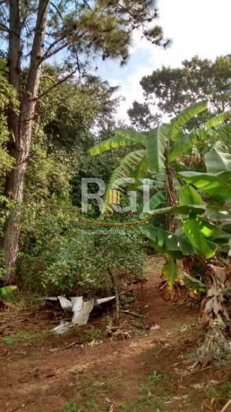 Terreno no bairro Belém Velho