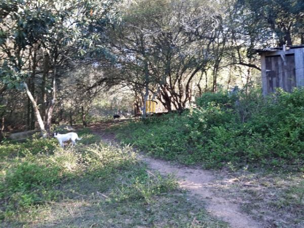 Sítio para Venda - 200m², 3 dormitórios, 4 vagas - Lami