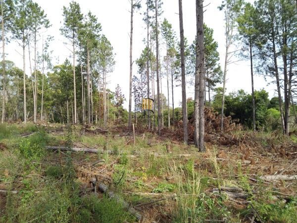 Area em Porto Alegre, no bairro Lomba do Pinheiro, à venda.