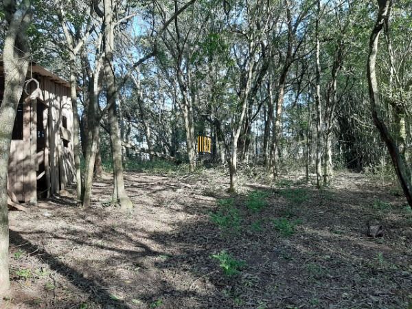 Sítio para Venda - 200m², 3 dormitórios, 4 vagas - Lami