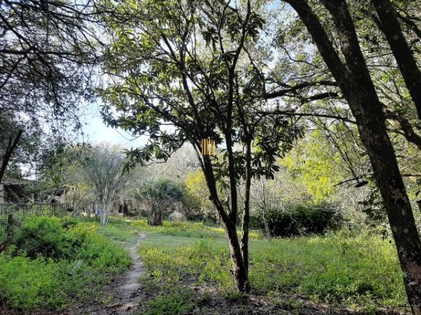 Sítio para Venda - 200m², 3 dormitórios, 4 vagas - Lami