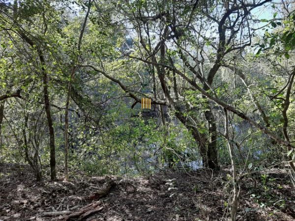 Sítio para Venda - 200m², 3 dormitórios, 4 vagas - Lami