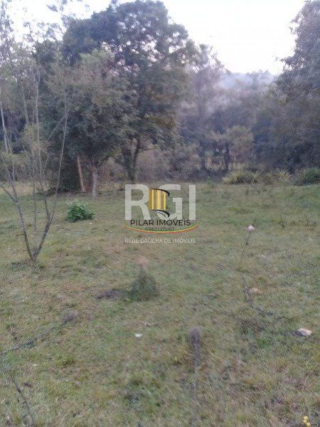Sítio para Venda - 7825m², 0 dormitórios, Viamão