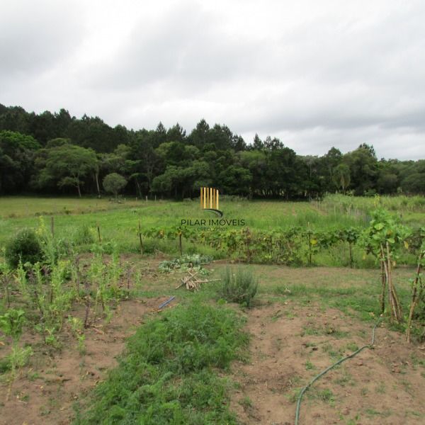 Sítio para Venda - 30000m², 3 dormitórios, sendo 1 suites, Lageado