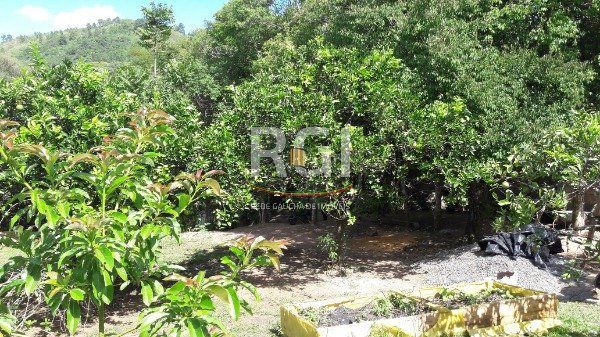 Sítio para Venda - 246m², 3 dormitórios, sendo 2 suites, 6 vagas - Vila Nova
