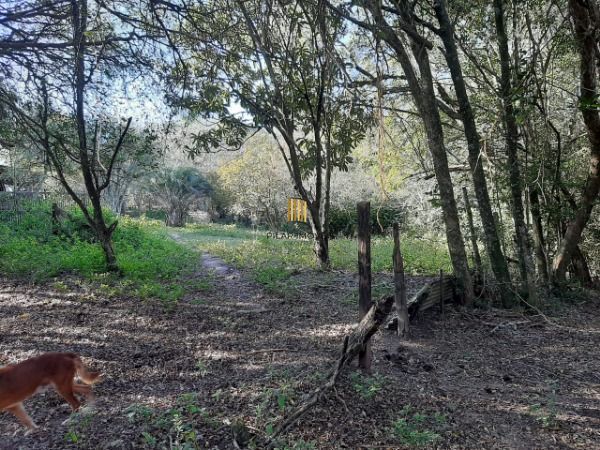 Sítio para Venda - 200m², 3 dormitórios, 4 vagas - Lami