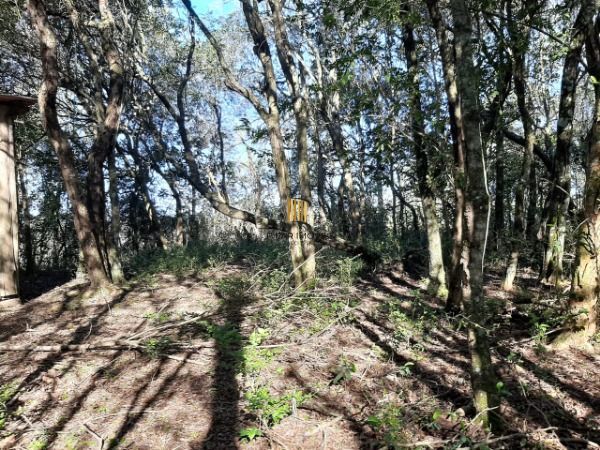 Sítio para Venda - 200m², 3 dormitórios, 4 vagas - Lami