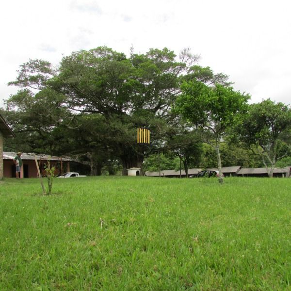 Sítio para Venda - 30000m², 3 dormitórios, sendo 1 suites, Lageado