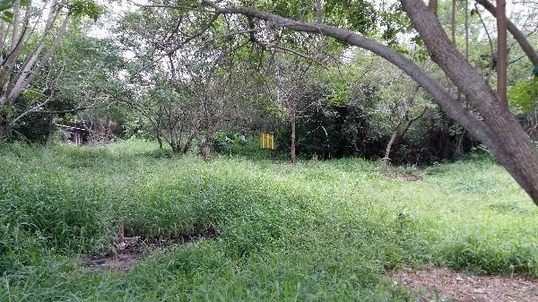 Terreno para Venda - 0m², 0 dormitórios, Lami