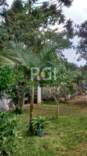 Terreno no bairro Belém Velho