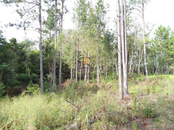Area em Porto Alegre, no bairro Lomba do Pinheiro, à venda.