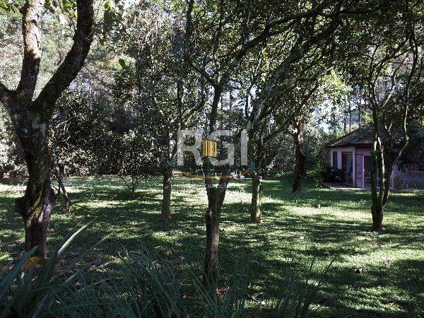 Sítio para Venda - 364m², 3 dormitórios, sendo 1 suites, 2 vagas - São Caetano