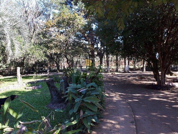 Sítio para Venda - 150m², 3 dormitórios, Belém Novo