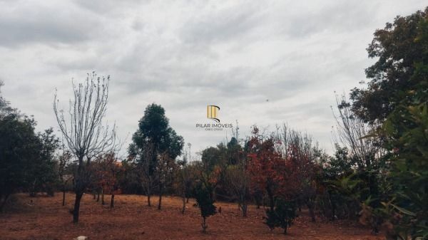 Area em Porto Alegre, no bairro Restinga, à venda.