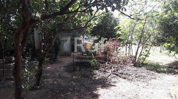 Sítio para Venda - 246m², 3 dormitórios, sendo 2 suites, 6 vagas - Vila Nova