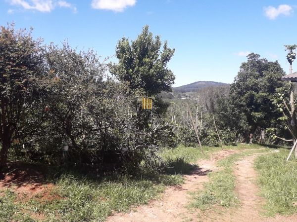 Terreno para Venda - 0m², 0 dormitórios, Extrema