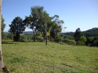 Terreno para Venda - 0m², 0 dormitórios, Chapéu do Sol