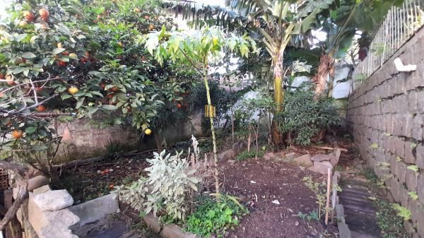 Predio para Venda - 434m², 0 dormitórios, Cavalhada