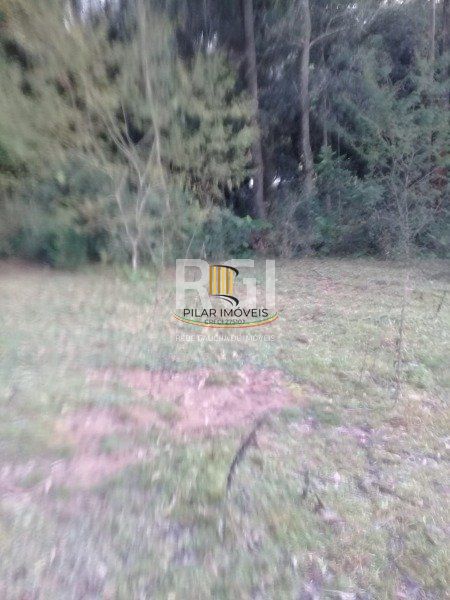 Sítio para Venda - 7825m², 0 dormitórios, Viamão