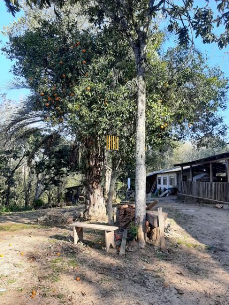 Sítio para Venda - 200m², 3 dormitórios, 4 vagas - Lami
