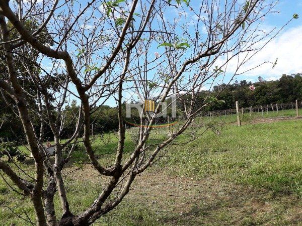 Sítio para Venda - 6396m², 0 dormitórios, Vila Nova