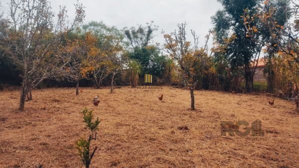 Area em Porto Alegre, no bairro Restinga, à venda.