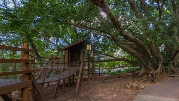 Apartamento 3 dormitórios no bairro Teresópolis
