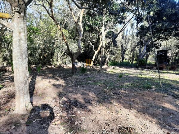 Sítio para Venda - 200m², 3 dormitórios, 4 vagas - Lami