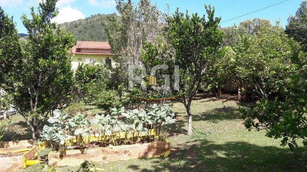 Sítio para Venda - 246m², 3 dormitórios, sendo 2 suites, 6 vagas - Vila Nova