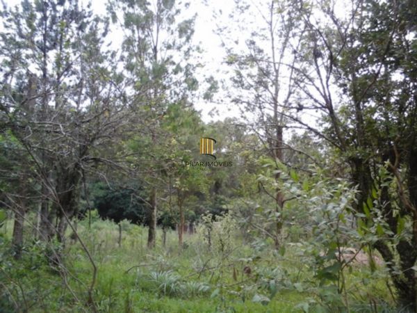 Terreno no bairro Belém Velho