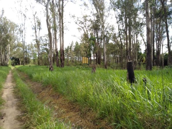 Area em Porto Alegre, no bairro Lomba do Pinheiro, à venda.