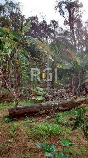 Terreno no bairro Belém Velho