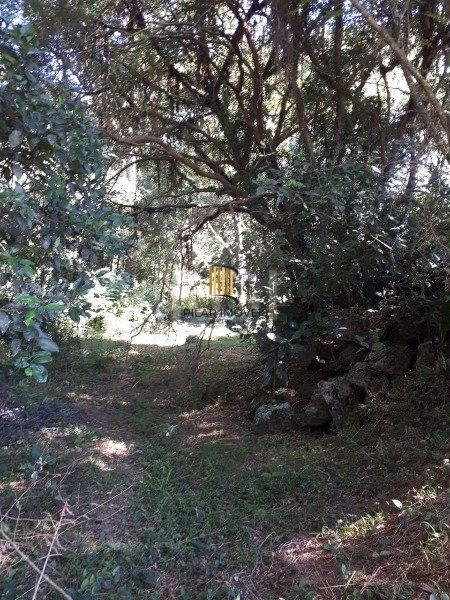 Terreno para Venda - 2067m², 0 dormitórios, Aberta dos Morros