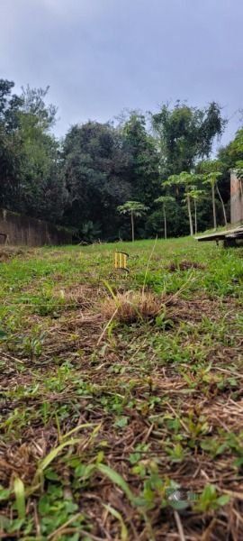 Terreno em Porto Alegre, no bairro Ipanema, à venda.