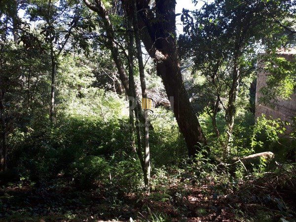 Terreno para Venda - 2067m², 0 dormitórios, Aberta dos Morros