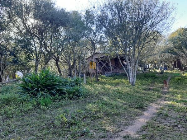 Sítio para Venda - 200m², 3 dormitórios, 4 vagas - Lami