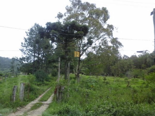 Terreno no bairro Belém Velho