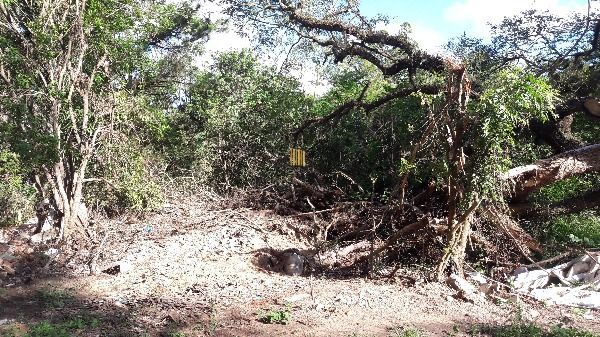 Terreno para Venda - 0m², 0 dormitórios, Lageado