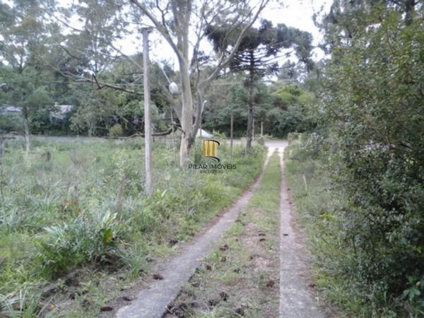 Terreno no bairro Belém Velho