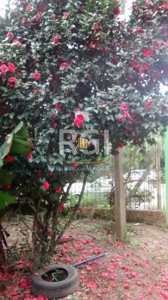 Terreno no bairro Belém Velho