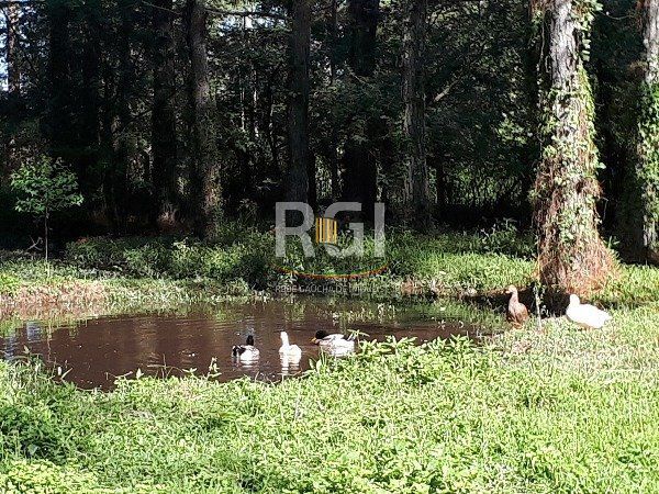 Sítio para Venda - 364m², 3 dormitórios, sendo 1 suites, 2 vagas - São Caetano