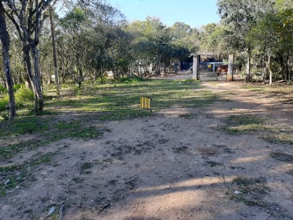 Sítio para Venda - 200m², 3 dormitórios, 4 vagas - Lami