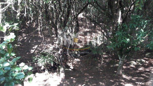 Sítio para Venda - 246m², 3 dormitórios, sendo 2 suites, 6 vagas - Vila Nova