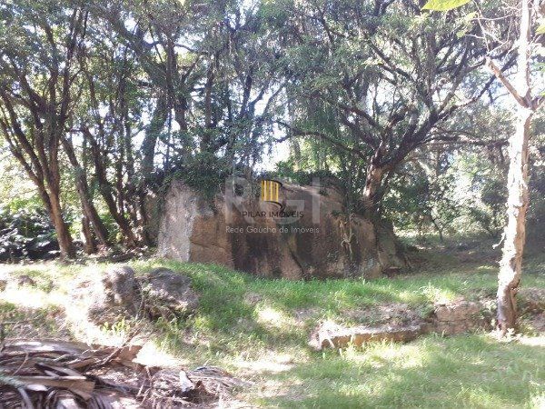 Terreno para Venda - 2067m², 0 dormitórios, Aberta dos Morros