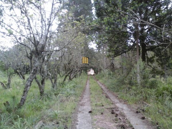 Terreno no bairro Belém Velho