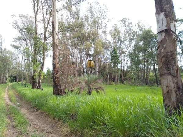 Area em Porto Alegre, no bairro Lomba do Pinheiro, à venda.