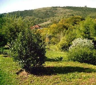 Casa para Venda - 630m², 5 dormitórios, sendo 5 suites, 9 vagas - Belém Velho