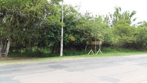 Terreno para Venda - 0m², 0 dormitórios, Lami