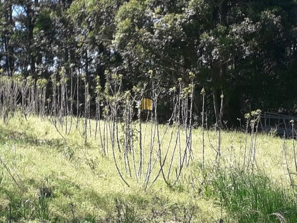 Terreno para Venda - 0m², 0 dormitórios, Extrema