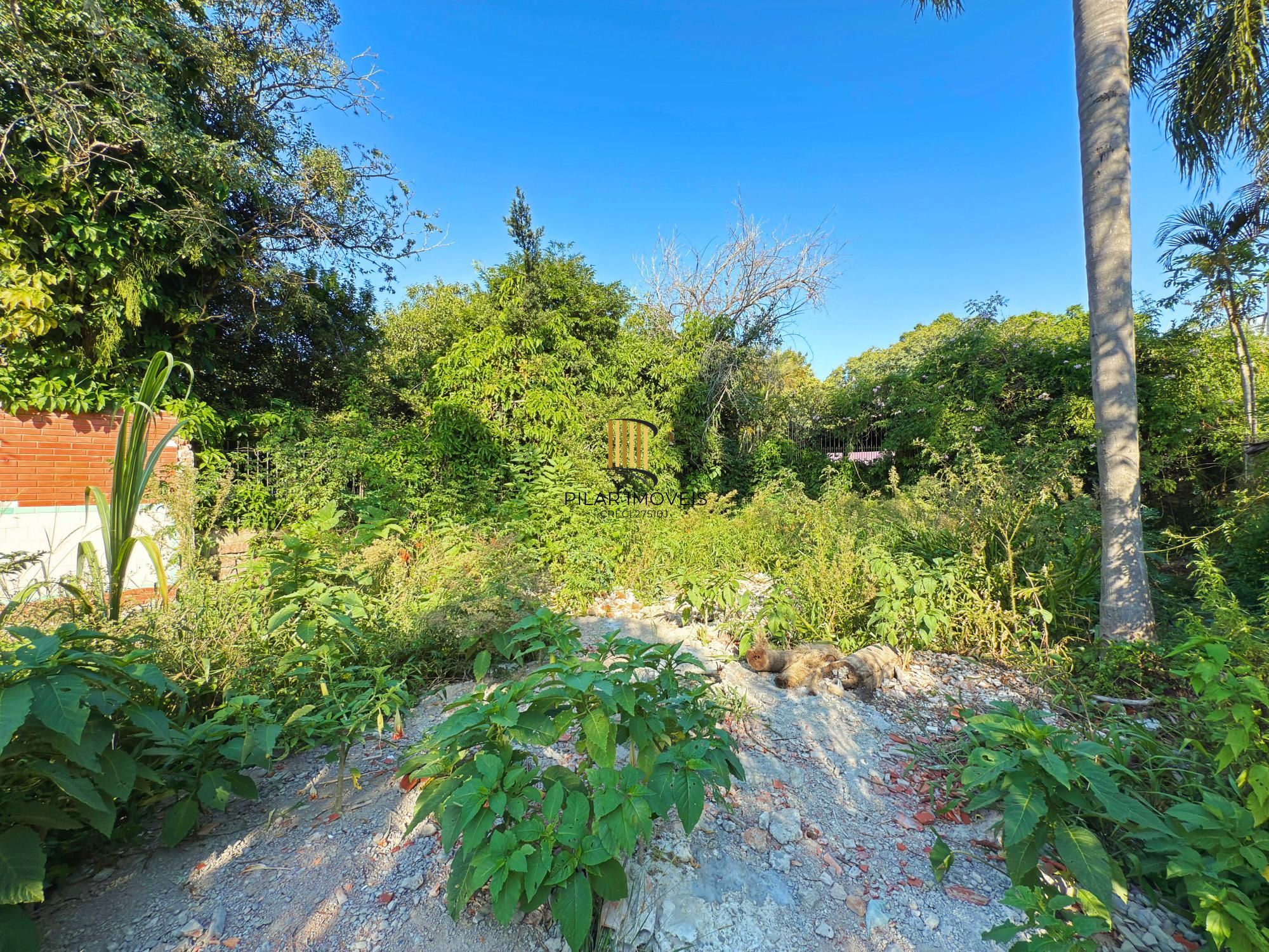 Terreno no bairro Ipanema